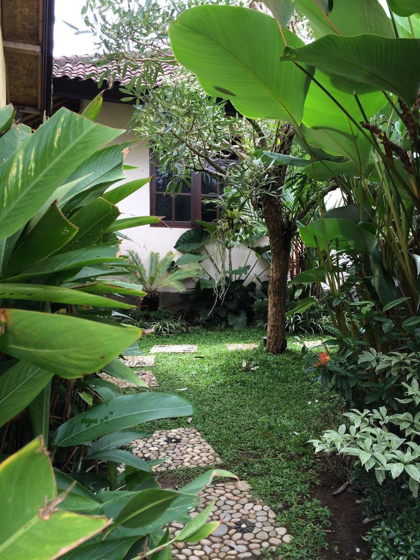 Uma Dewi Guest House Ubud Esterno foto